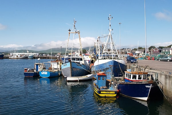 Dingle Harbour