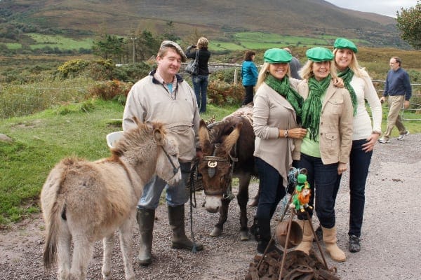 Ponies in Kerry